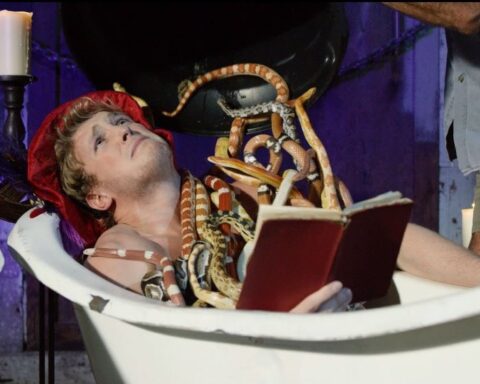 Image from The Shib Daily