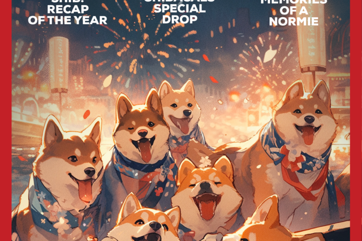 SHIBA 2023: TEH TLDR