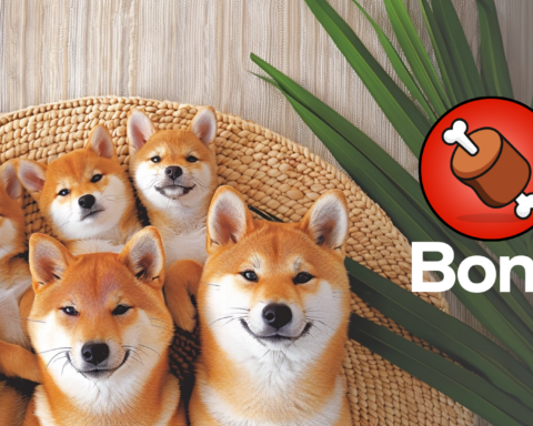 Image from The Shib Daily