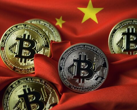 Image from The Shib Daily