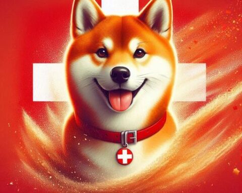 Image from The Shib Daily