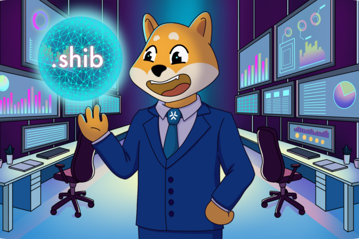 Exclusive Interview with D3 CEO:*SHIB Name Tokens The Future of Crypto Security & Identity
