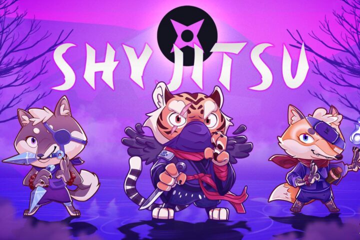 A representation of Shyjitsu