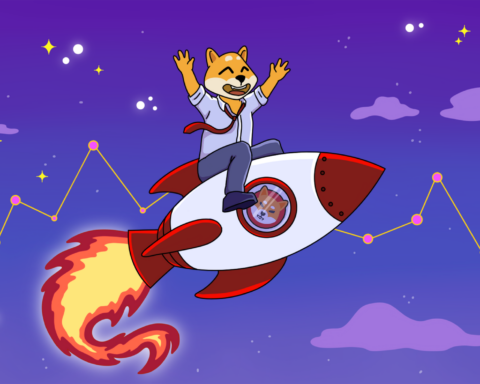 Shiba Inu Nears Crucial Support, Price Revesal Imminent: Crypto Analyst