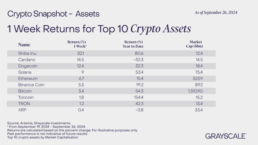 Shiba Inu Ecosystem: A Week of Milestones and Meteoric Rises