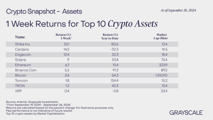 Shiba Inu Outperforms Major Cryptocurrencies, Grayscale Data Reveals