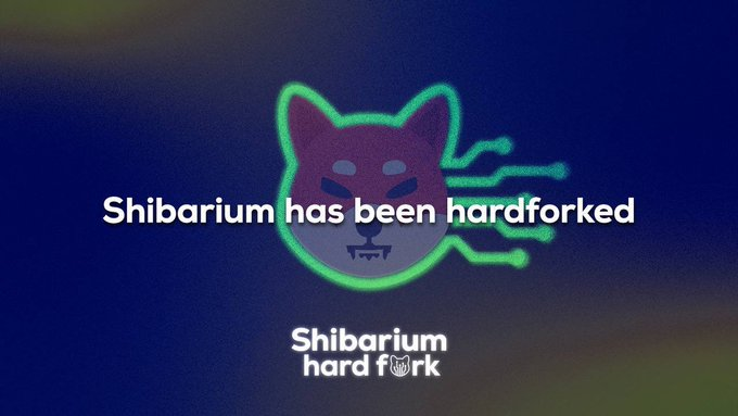 
Shibarium