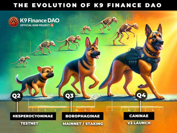 K9 Finance is the official liquid staking derivative platform of Shibarium
