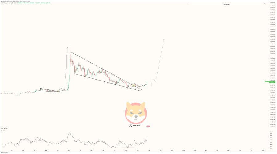 Shiba Inu to Skyrocket 360%, Citing Bullish Breakout After Market-Defying Performance, Analyst Predicts