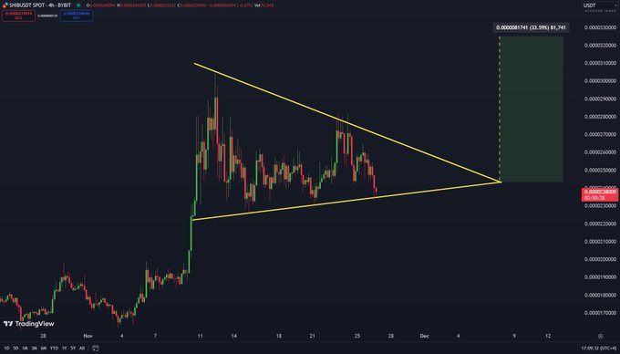 Shiba Inu Could Explode to $0.00003255 If Breakout Happens - Analyst