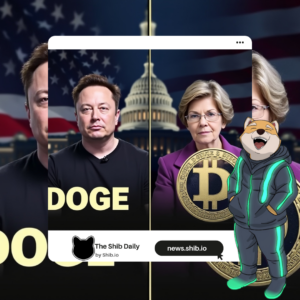 Warren Slams Musk, Ramaswamy 'DOGE' Department: 'REALLY Efficient?'