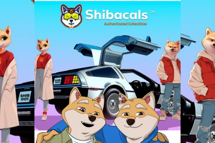 DeLorean Labs and Shiba Inu Team Up for Exclusive NFT-Chipped Action Figure Giveaway