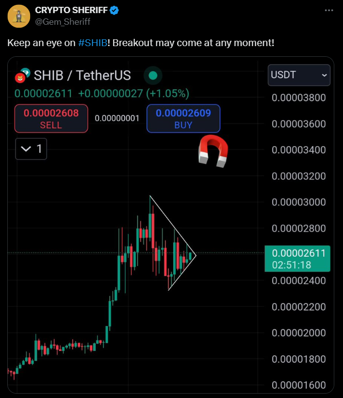 Is Shiba Inu About to Explode? Analyst Predicts Major Breakout
