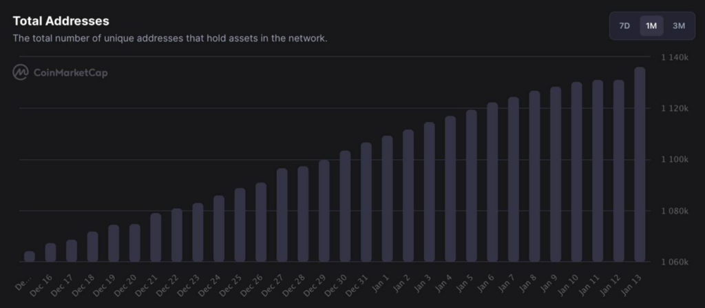 Shiba Inu Network Activity 'Much Higher Than Normal Rate'—Here's Why It Signals a Bullish Future