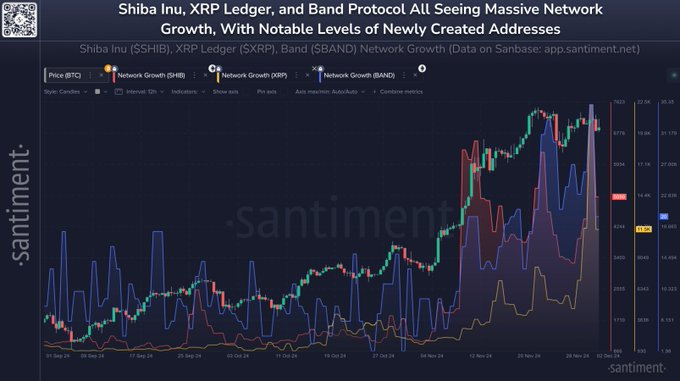 Shiba Inu Network Activity 'Much Higher Than Normal Rate'—Here's Why It Signals a Bullish Future