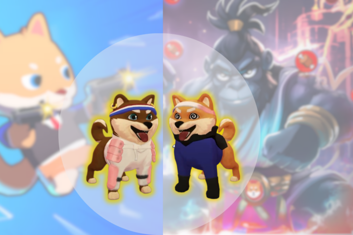 Shiboshis Arrive on Shiba Eternity & Agent Shiboshi: Let's Get Those NFTs Imported, Stat!