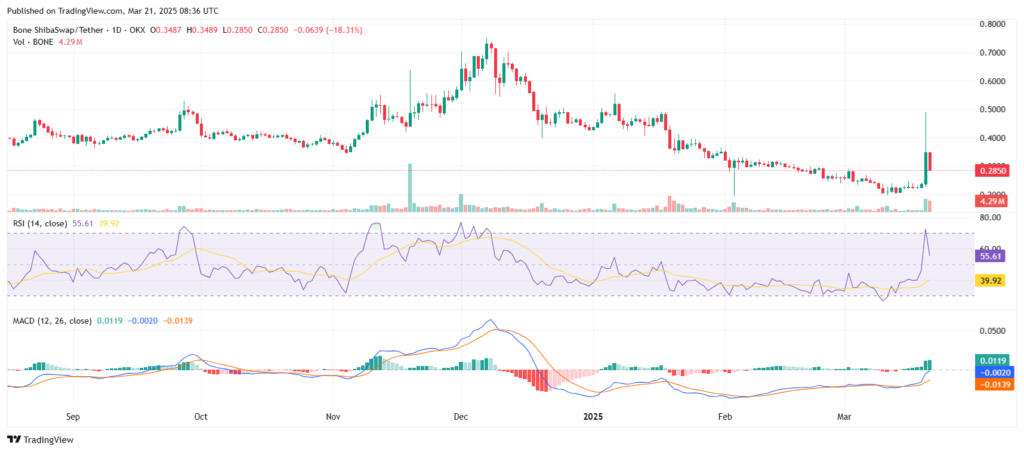 BONE Skyrockets: Price Surges as Trading Volume Soars 392%