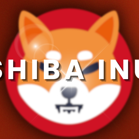 Shiba Inu Trading Volume Surges, Breakout Speculations Mounts