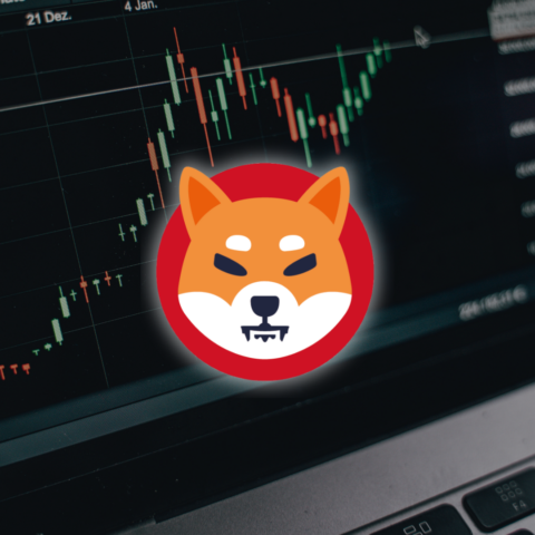 Shiba Inu Bulls Eye Upside, Analysts Optimistic on Potential Breakout