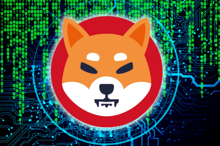 Shiba Inu Reserves Plummet as Whale Transactions Surge—Why?