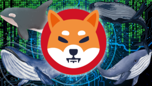 Shiba Inu Whales Scoop Up Trillions Of SHIB Amid Price Surge