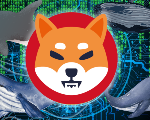 Shiba Inu Whales Scoop Up Trillions Of SHIB Amid Price Surge