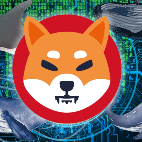 Shiba Inu Whales Scoop Up Trillions Of SHIB Amid Price Surge