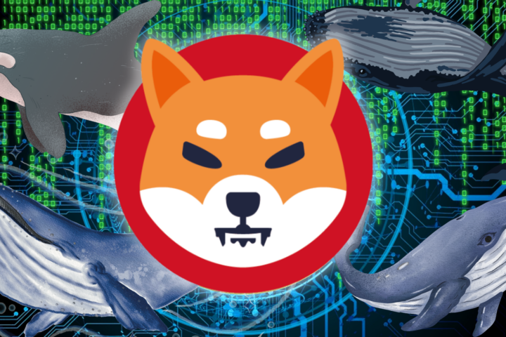 Shiba Inu Whales Scoop Up Trillions Of SHIB Amid Price Surge