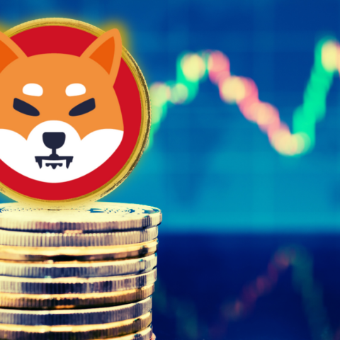 Shiba Inu Price: Bullish Signal Points to around 105% 'Additional Recovery'