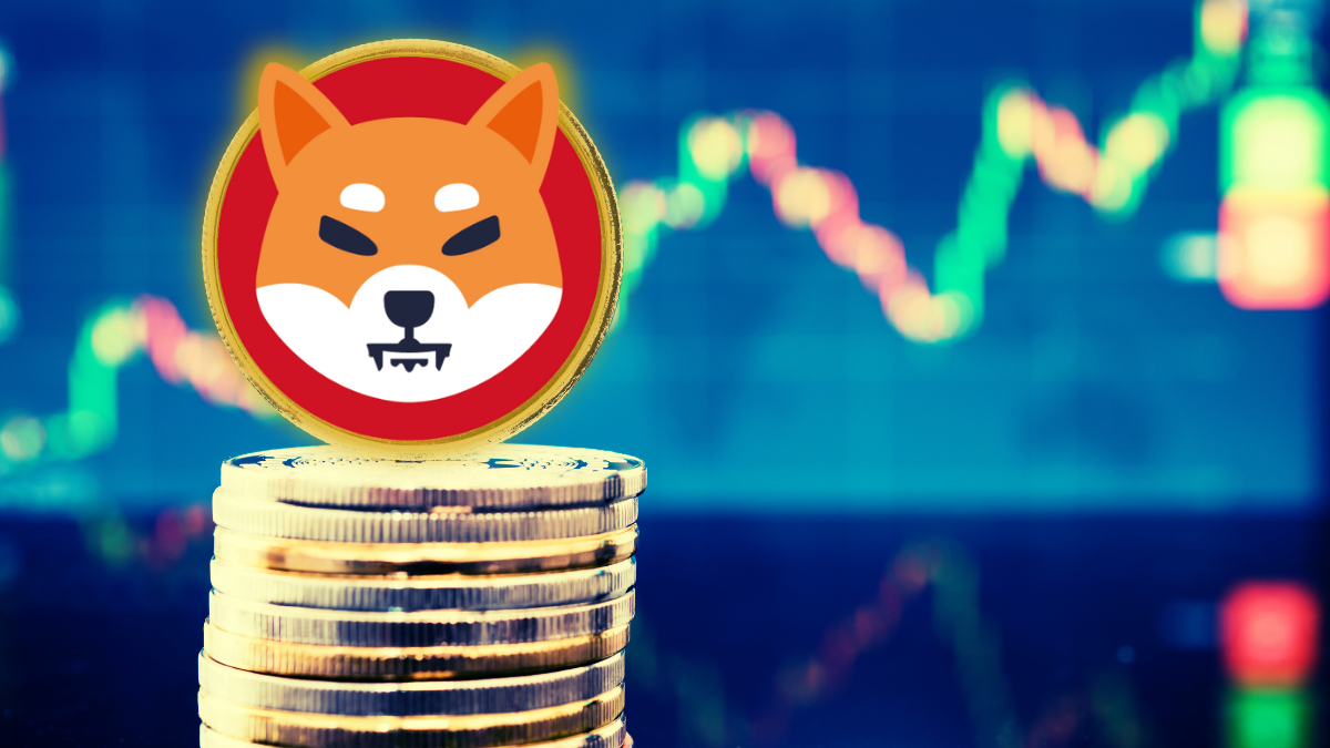 Shiba Inu Price: Bullish Signal Points to around 105% 'Additional Recovery'