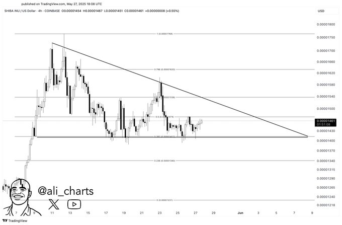 Shiba Inu Price: Critical Chart Now Unlocks Potential Big Surge