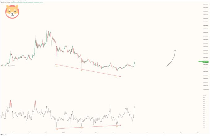 Shiba Inu Price: Bullish Signal Points to around 105% 'Additional Recovery'
