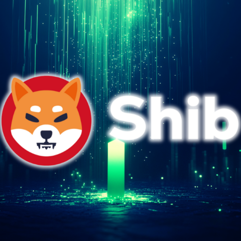 Shiba Inu Price Breaks Out—Trader Reveals Potential Big Profit Setup