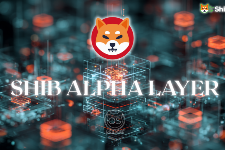 Shib Alpha Layer & Rollups: Clearing the Traffic for a Smarter Web3