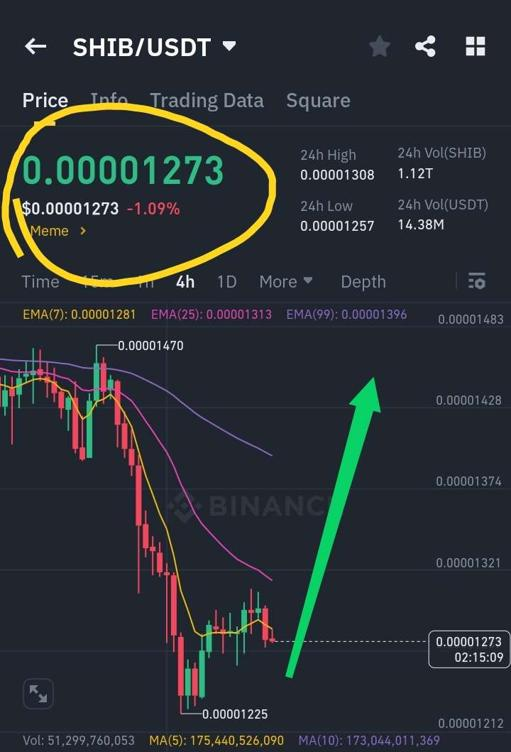 Shiba Inu Price Breaks Out—Trader Reveals Potential Big Profit Setup
