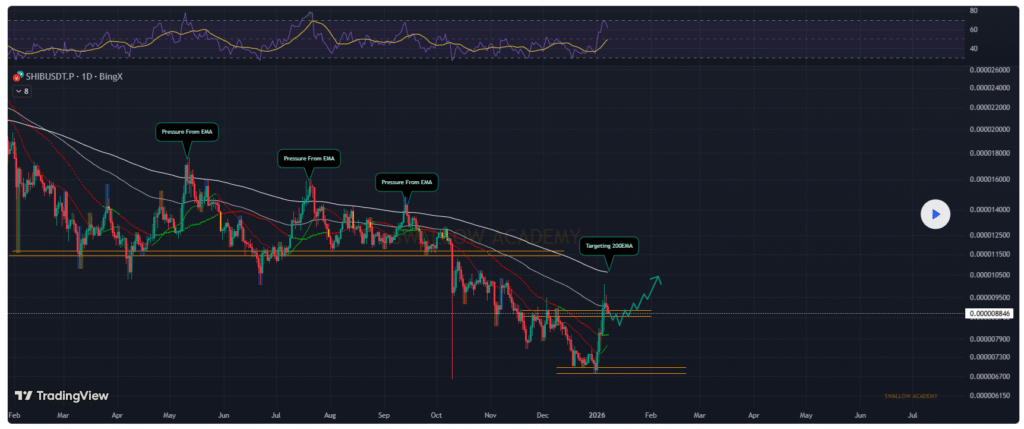 Shiba Inu Holds Ground Early Indicators Hint at New Trend