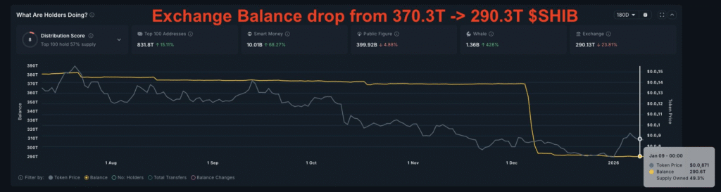 New Wallets Trigger Massive Shiba Inu Supply Squeeze